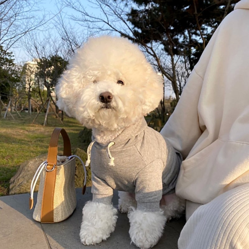 Hoodies Classic Small and Medium Dog