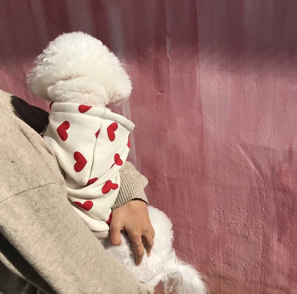 Hoodie Polka hearted for small dogs