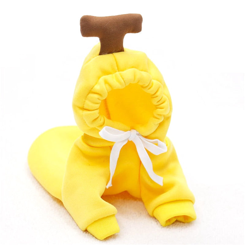 Hoodies cute costumes for small dogs