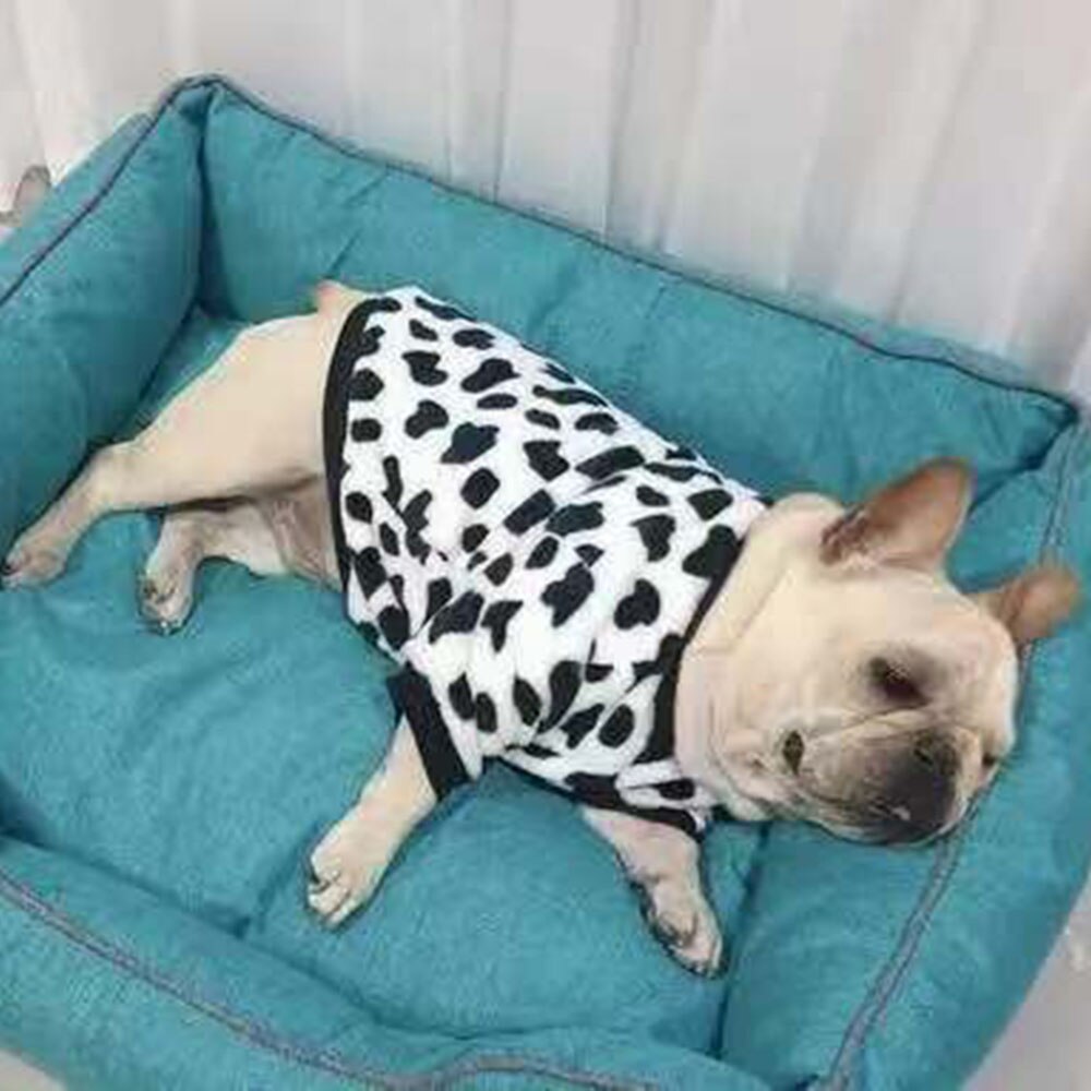 Pajamas for small dogs