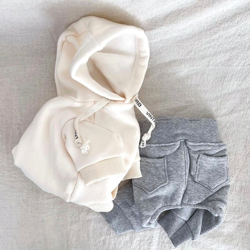 Hoodies Classic Small and Medium Dog