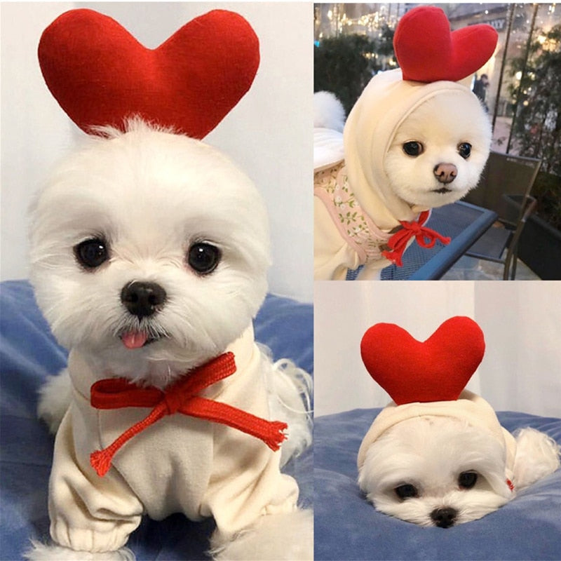 Hoodies cute costumes for small dogs
