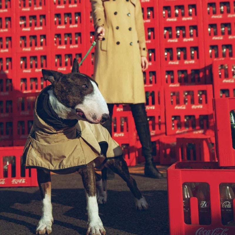 Winter Classic Trench Coat large dogs