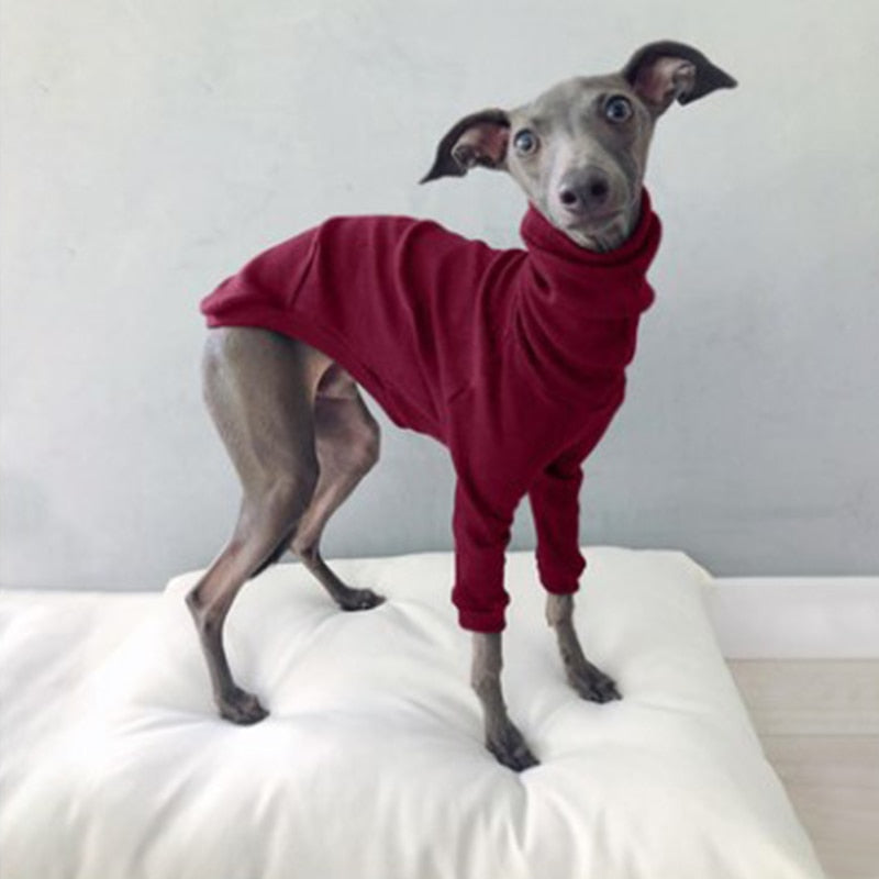 Pullover sweater small to large dogs