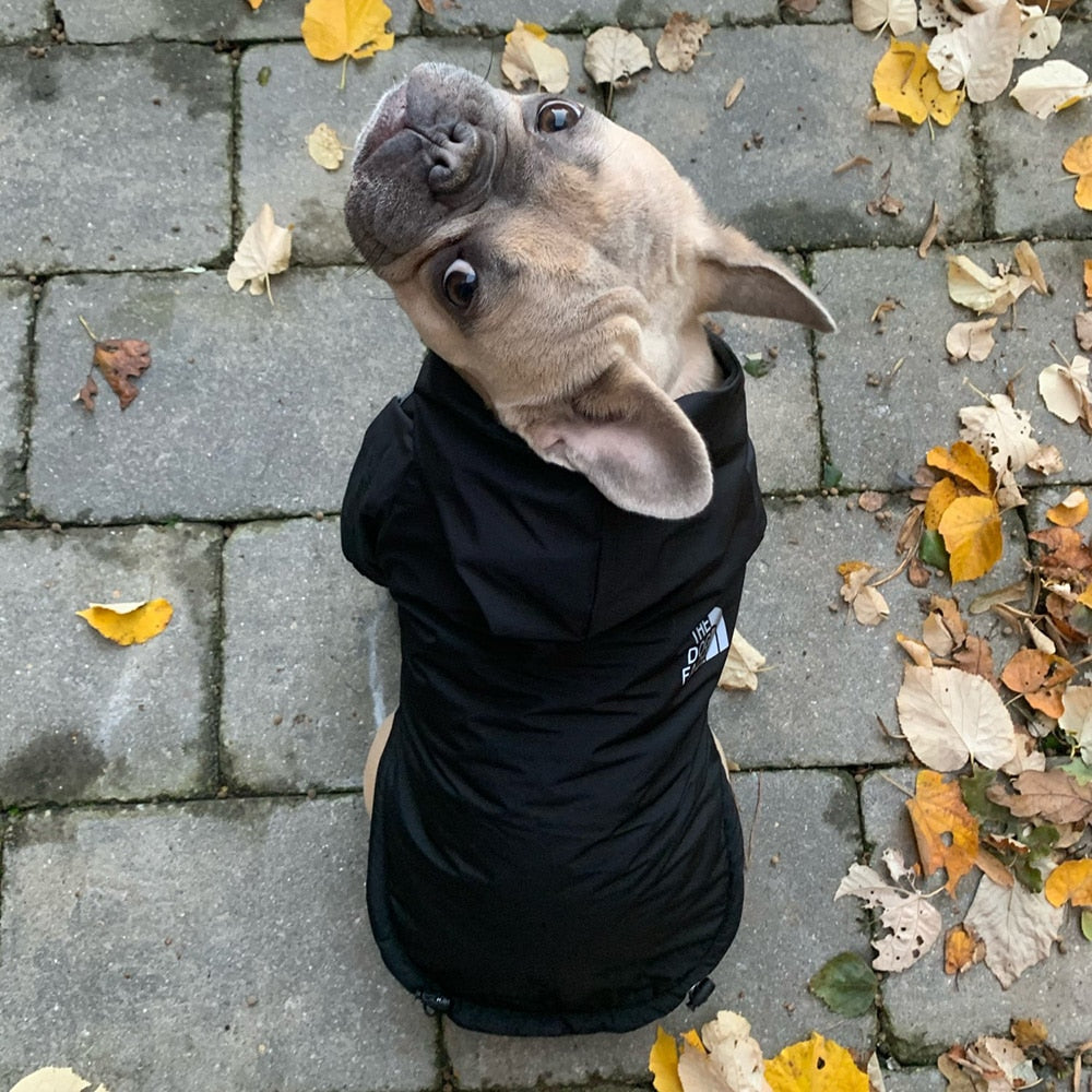 Winter Reflective Waterproof The Dog Face