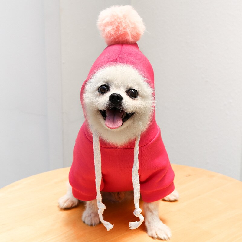 Hoodies cute costumes for small dogs