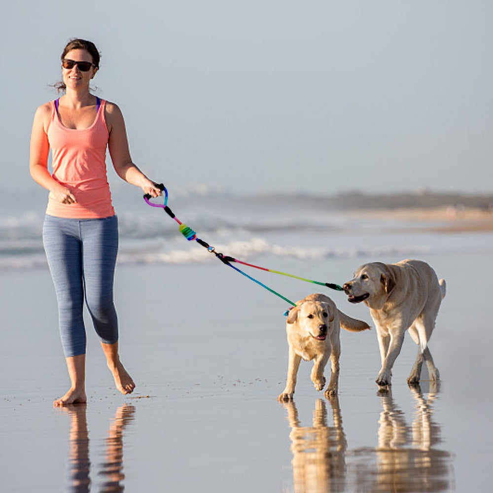Leash 1-4 dog Rainbow Splitter