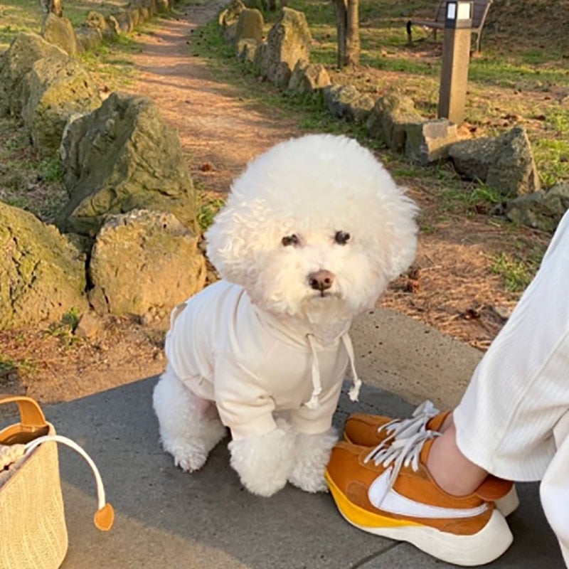 Hoodies Classic Small and Medium Dog