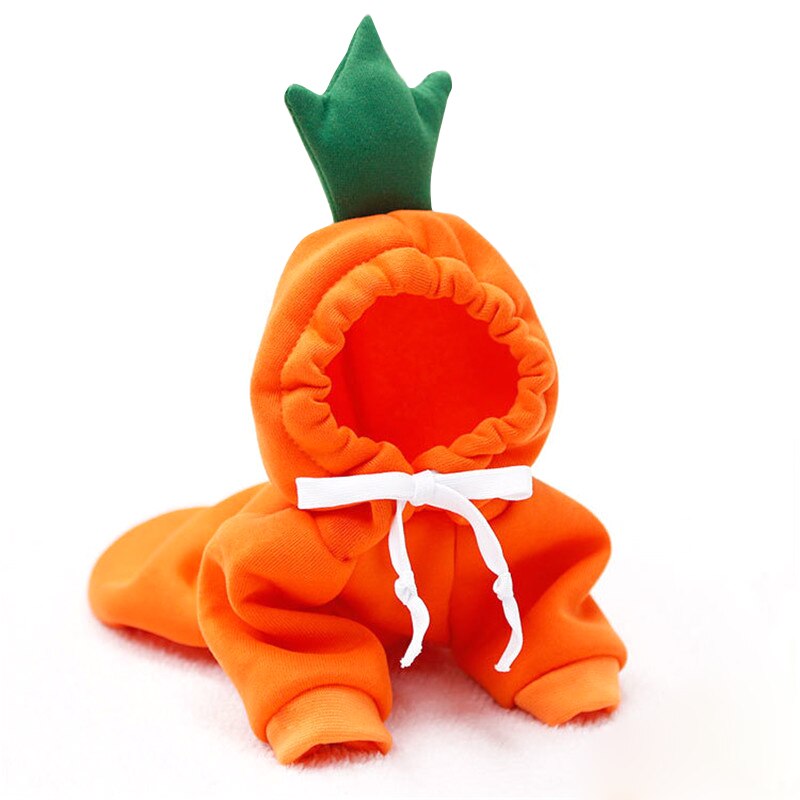 Hoodies cute costumes for small dogs