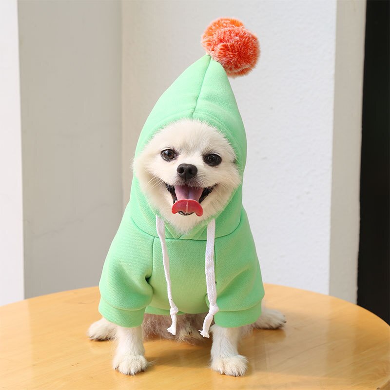 Hoodies cute costumes for small dogs