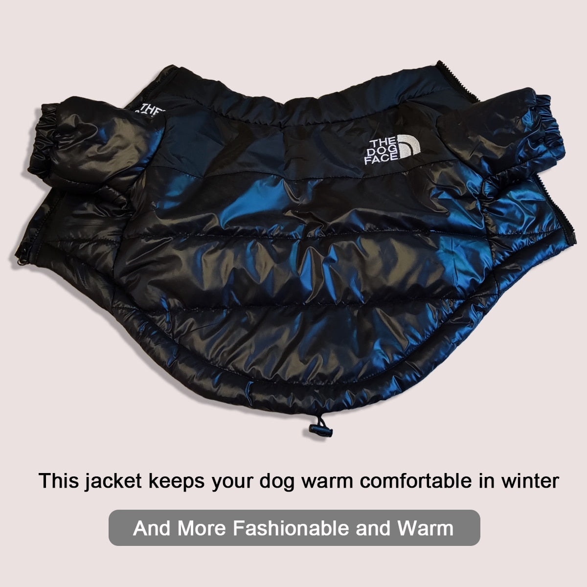Winter Jacket Reflective The Dog Face