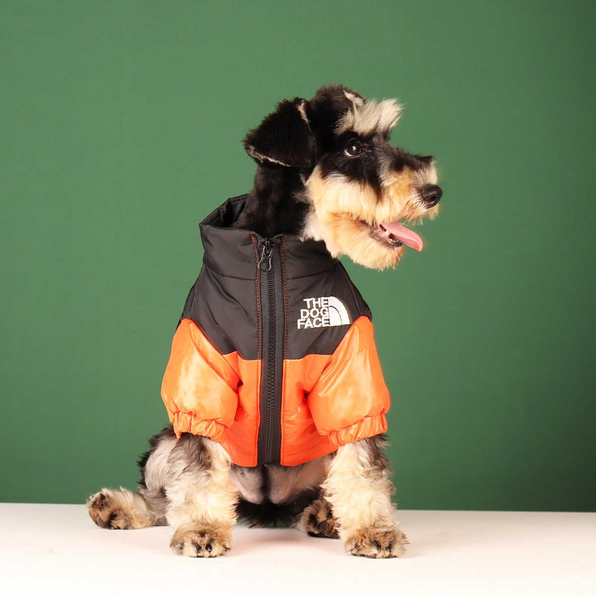 Winter Jacket Reflective The Dog Face