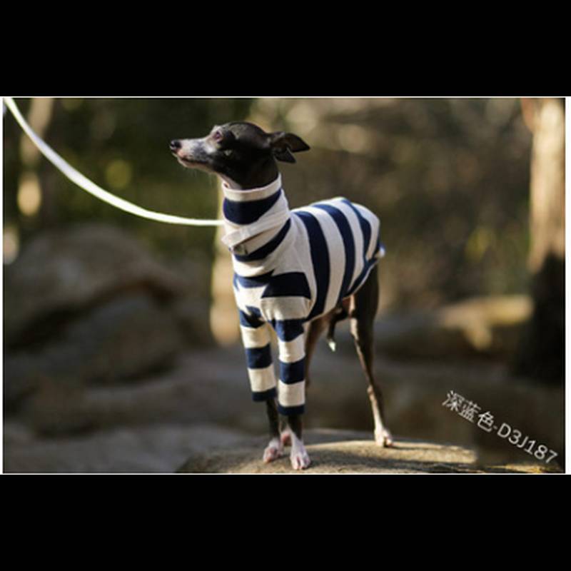 Jumper Two-legged, High-necked Cute Dog Clothing
