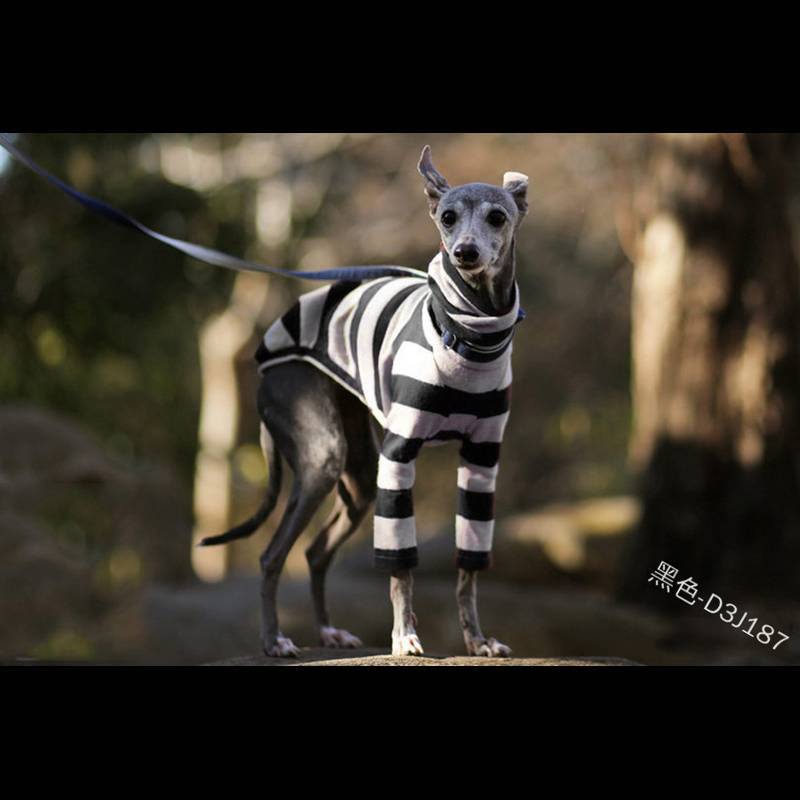 Jumper Two-legged, High-necked Cute Dog Clothing