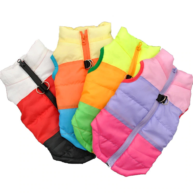 Winter puffy Jacket colorful