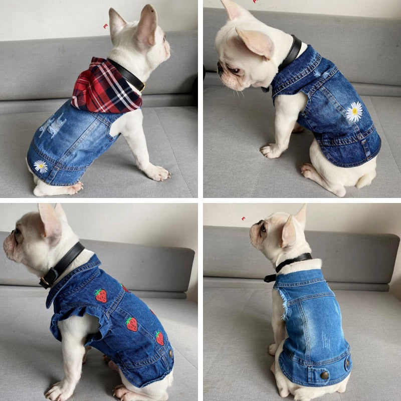 Jean Jacket Miss Doggy