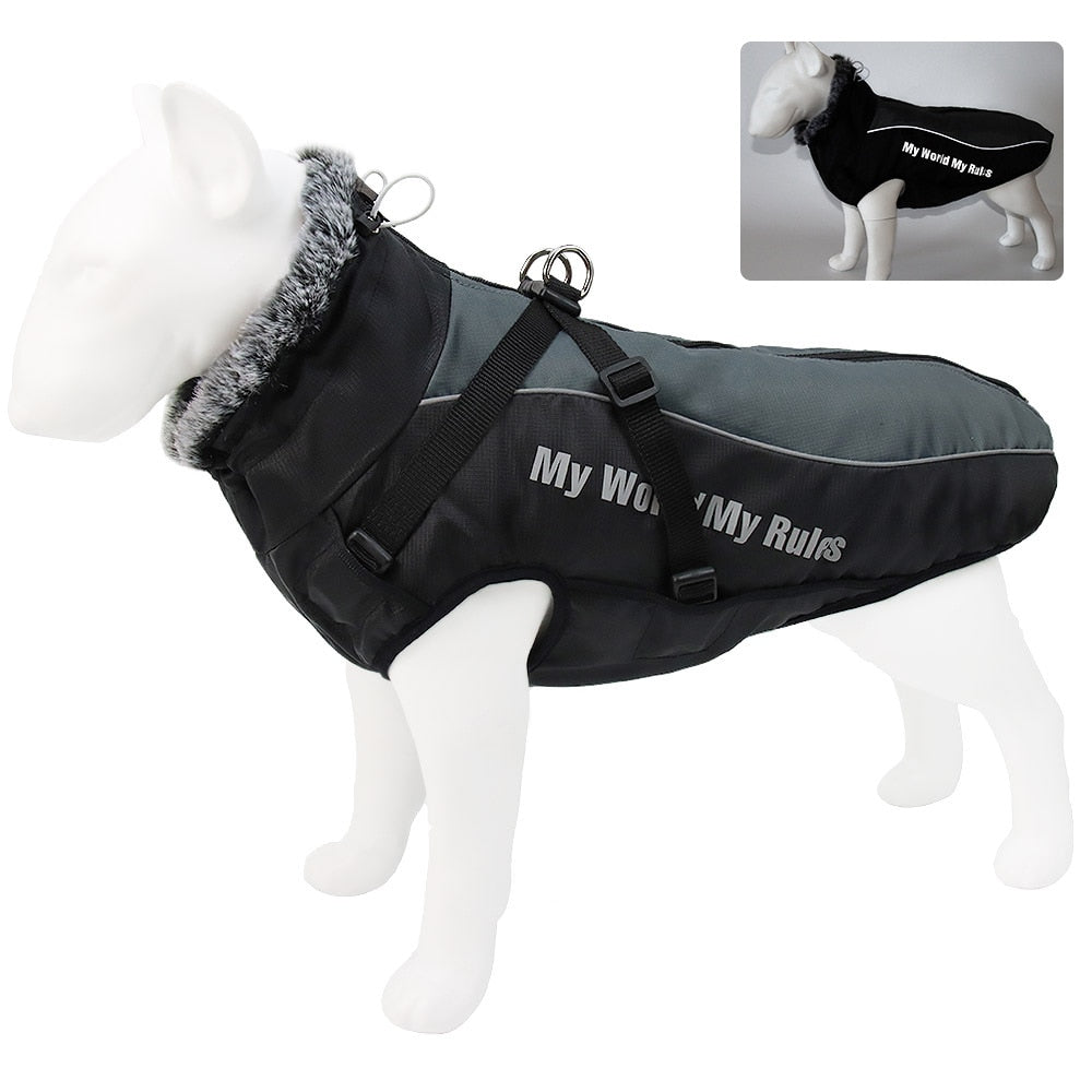 Winter Jacket with Fur Neck for Large Dogs