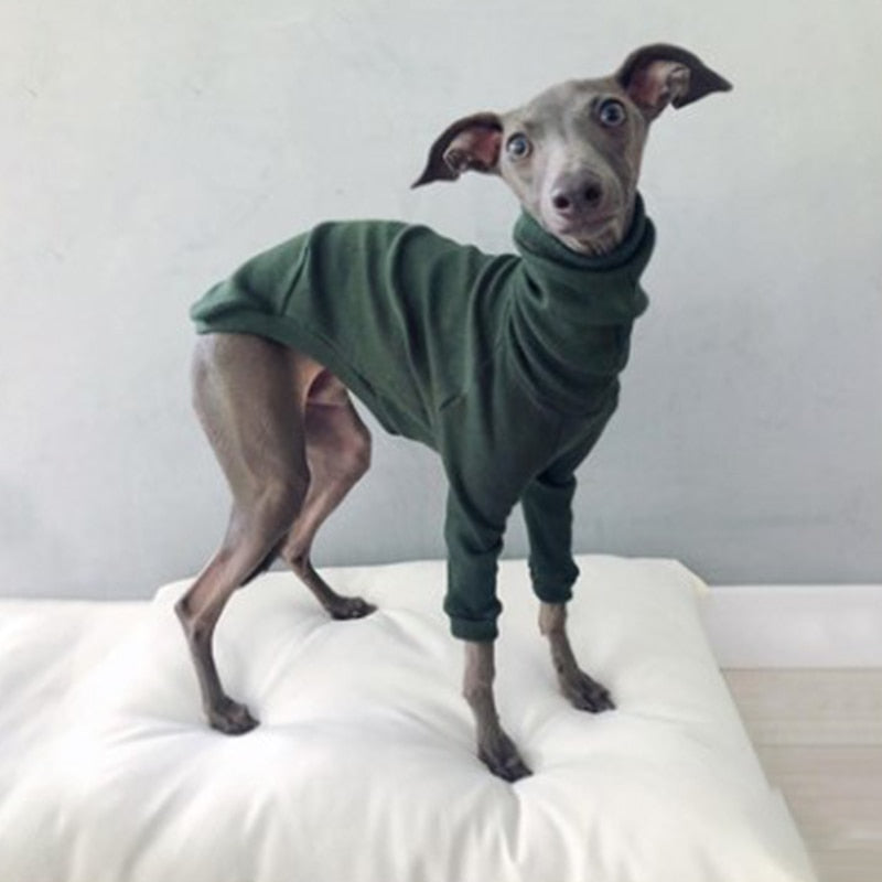 Pullover sweater small to large dogs
