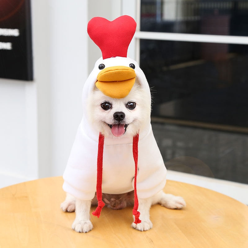 Hoodies cute costumes for small dogs