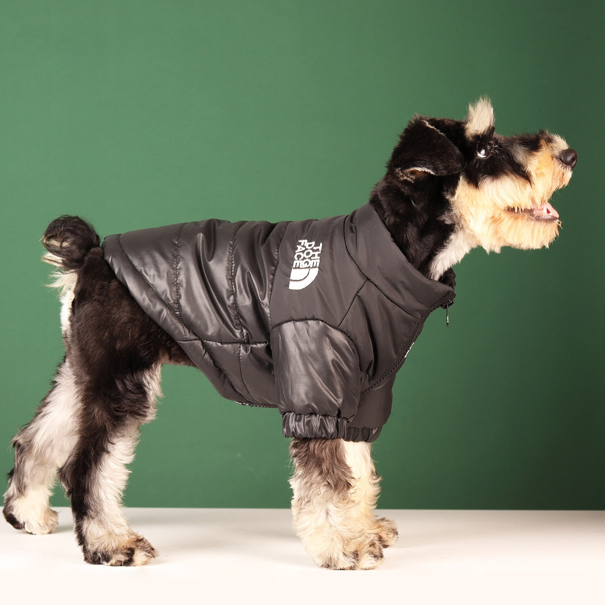 Winter Jacket Reflective The Dog Face