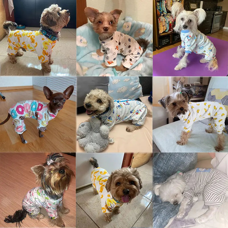 Cute printed Pajamas for small dogs