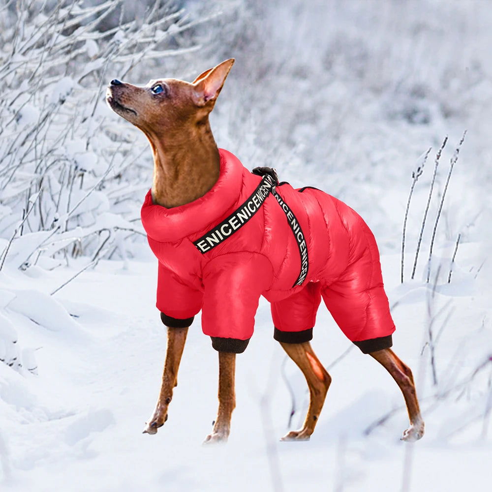 Waterproof Winter jumpsuit Super Warm  With Harness