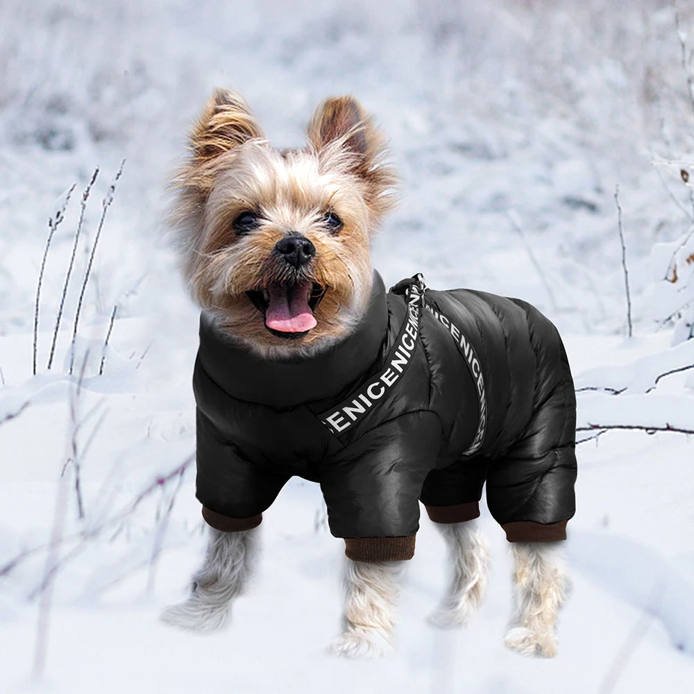 Waterproof Winter jumpsuit Super Warm  With Harness