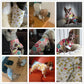 Cute printed Pajamas for small dogs