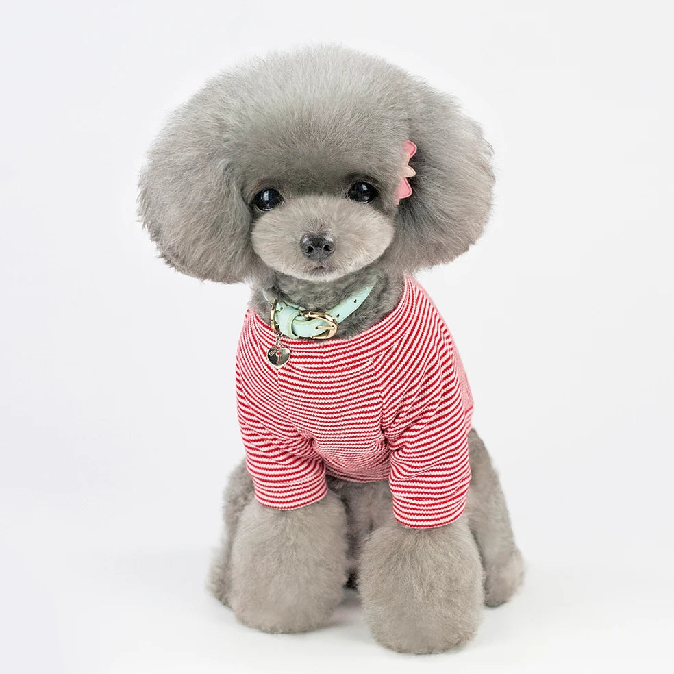 Cute printed Pajamas for small dogs