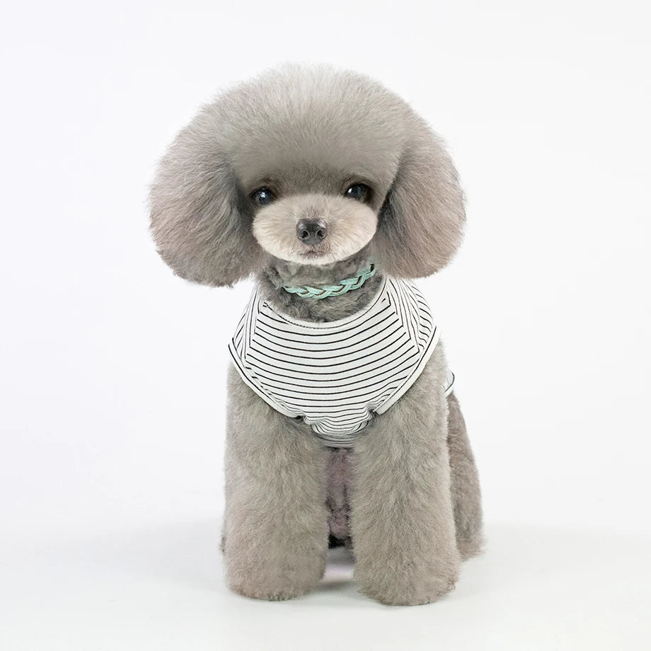 Cute printed Pajamas for small dogs