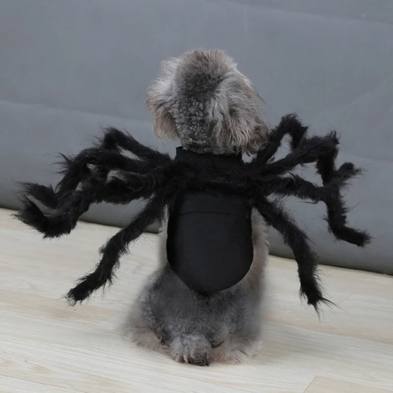 Dog Spider Halloween Costume | Holiday Gear Collection | 8-Leg Cosplay Outfit
