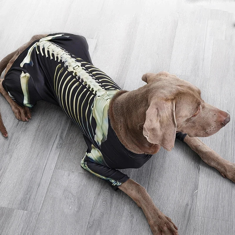 Dog Halloween Skeleton Costume | Holiday Gear Collection | Spooky Outfit