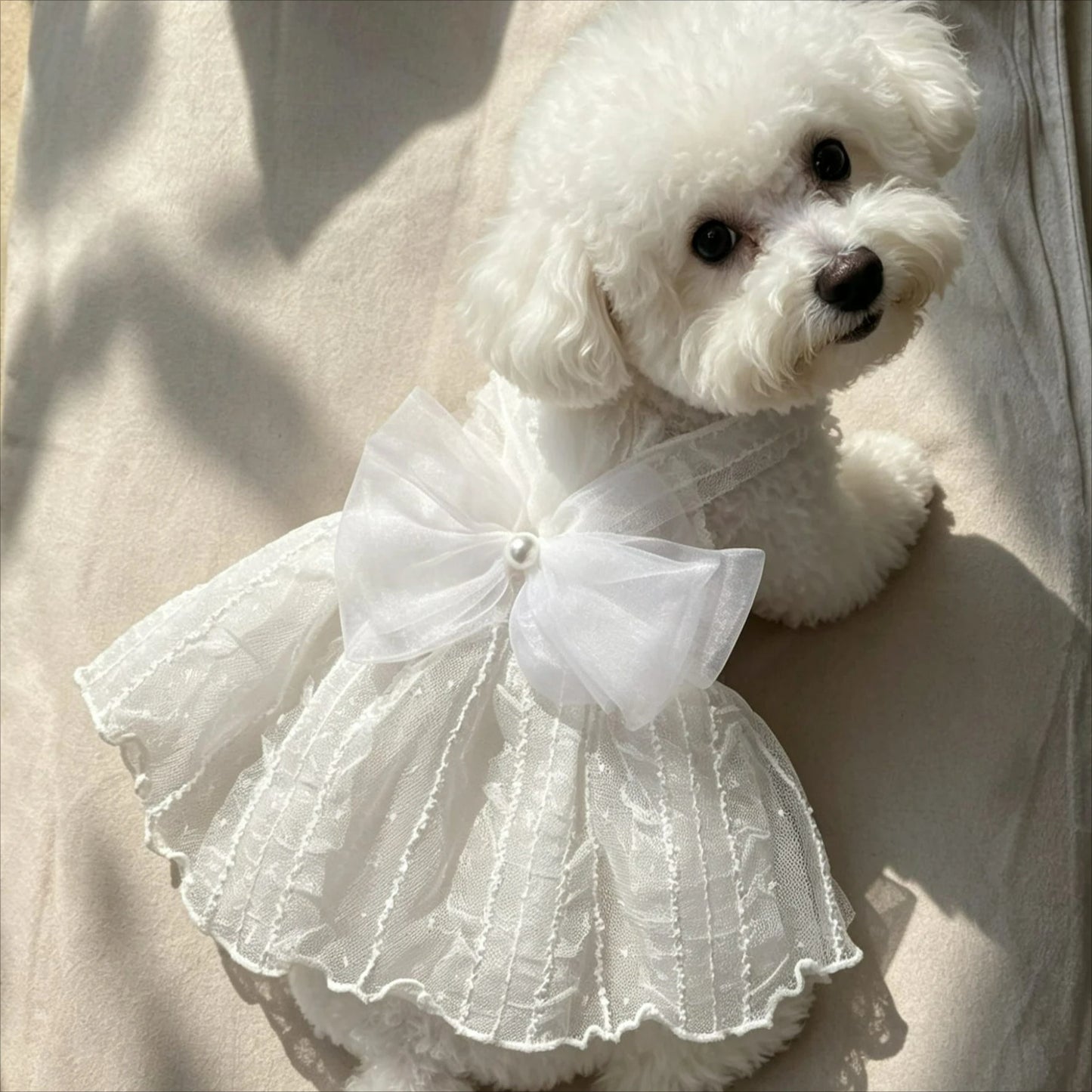 Dog Princess Dress Shirt | Holiday Gear Collection | Girl Dog Summer Outfit