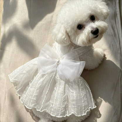 Dog Princess Dress Shirt | Holiday Gear Collection | Girl Dog Summer Outfit