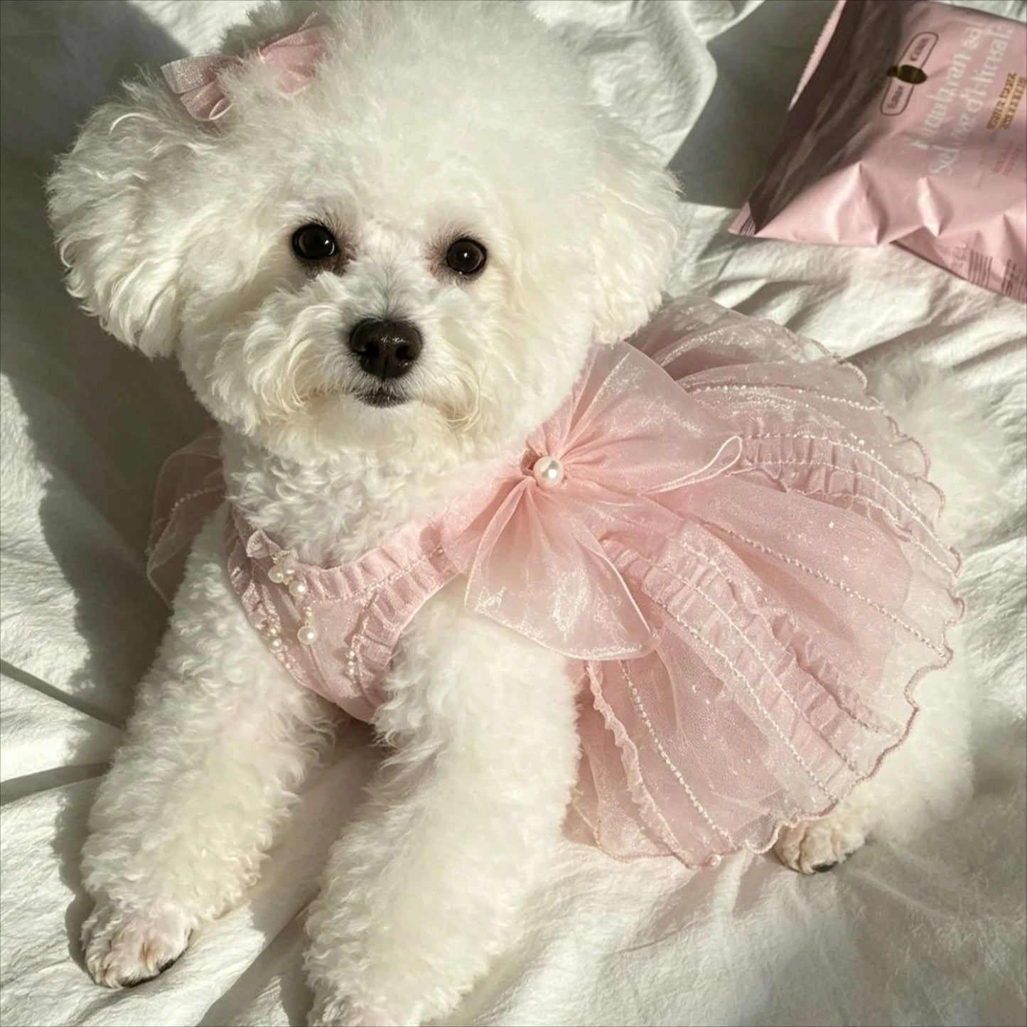 Dog Princess Dress Shirt | Holiday Gear Collection | Girl Dog Summer Outfit