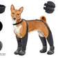 Dog Suspender Boots Anti-Slip&Fall Waterproof
