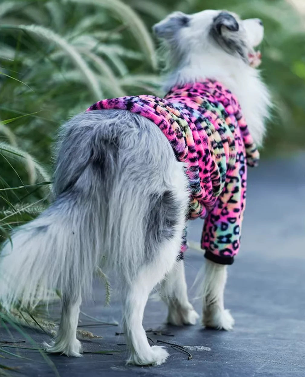 Leopard Print Fleece Winter Large Dog Sweater