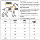 Dog Dinosaur Plush Hoodie | Holiday Gear Collection | Warm Autumn & Winter Sweater