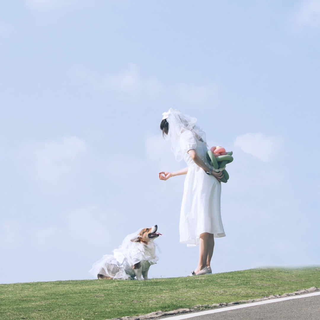 Dog Luxury Lace Wedding Dress | Holiday Gear Collection | Ruffles & Ribbon Bow Gown