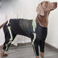 Dog Halloween Skeleton Costume | Holiday Gear Collection | Spooky Outfit