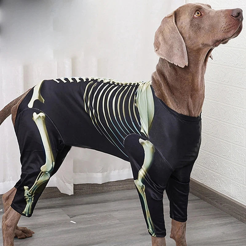 Dog Halloween Skeleton Costume | Holiday Gear Collection | Spooky Outfit