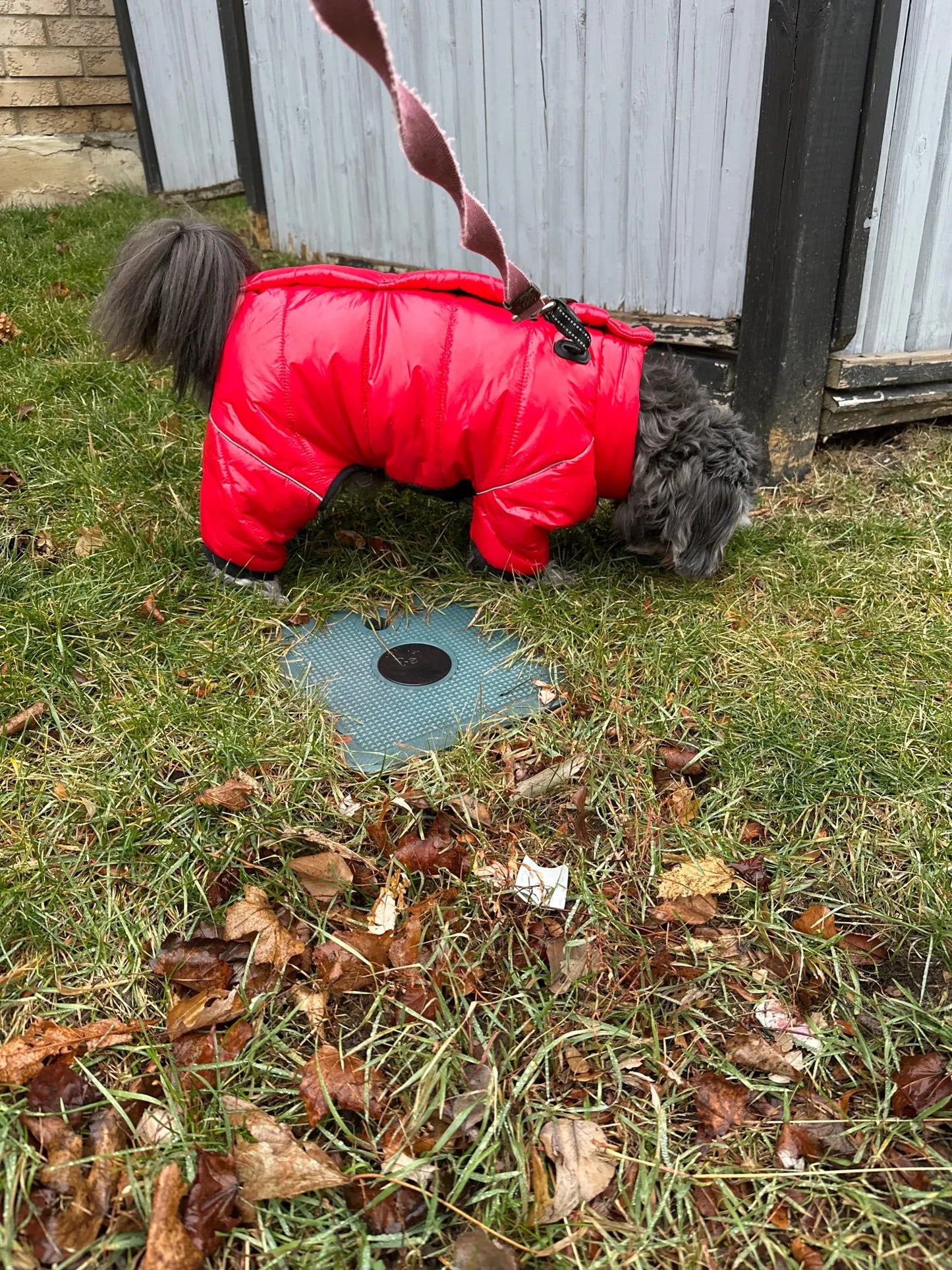 Warm Winter Jumpsuit Waterproof and Reflective for small dogs
