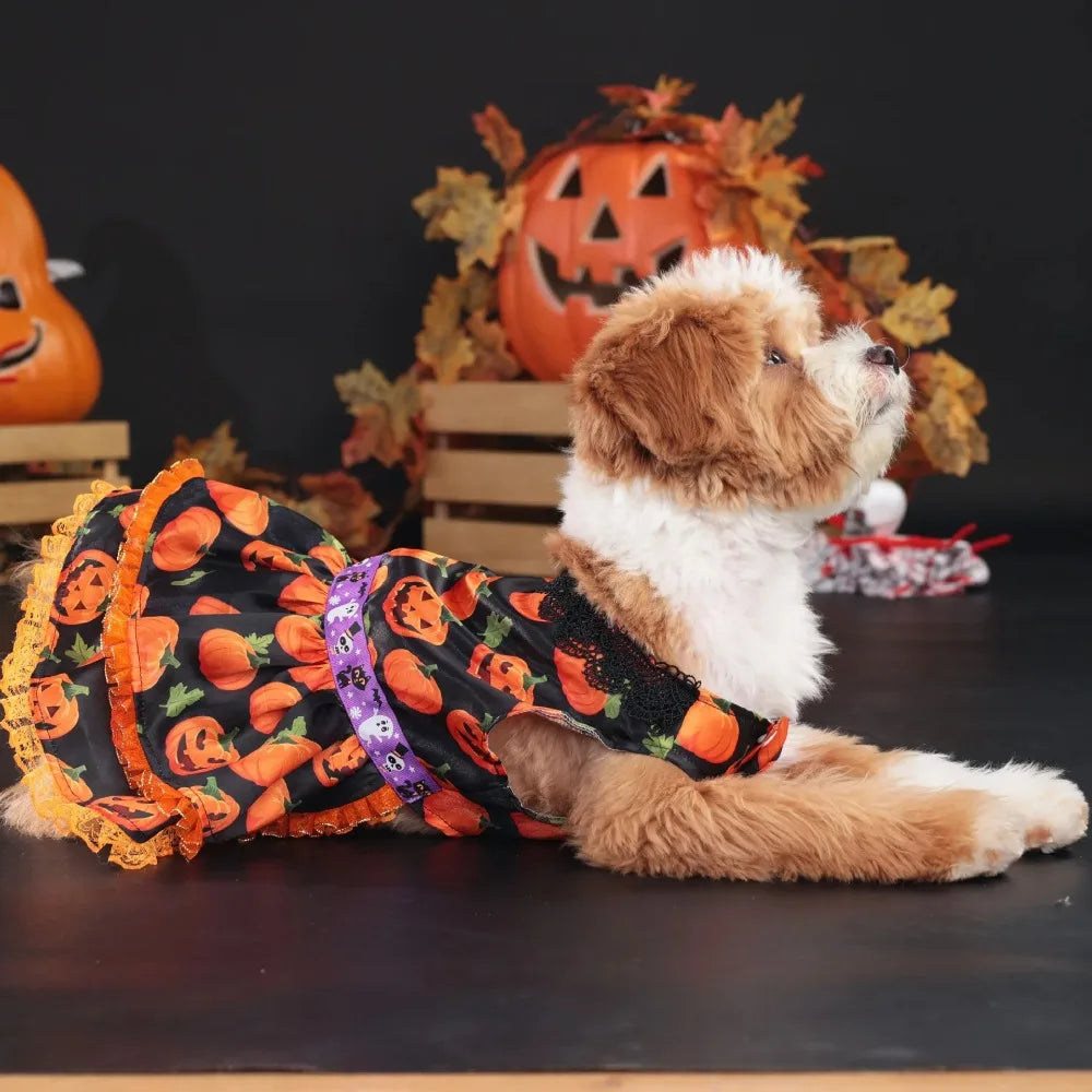 Dog Halloween Pumpkin Skirt Dress | Holiday Gear Collection | Girl Dog Lace Costume