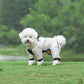 Warm Winter Jumpsuit Waterproof and Reflective for small dogs