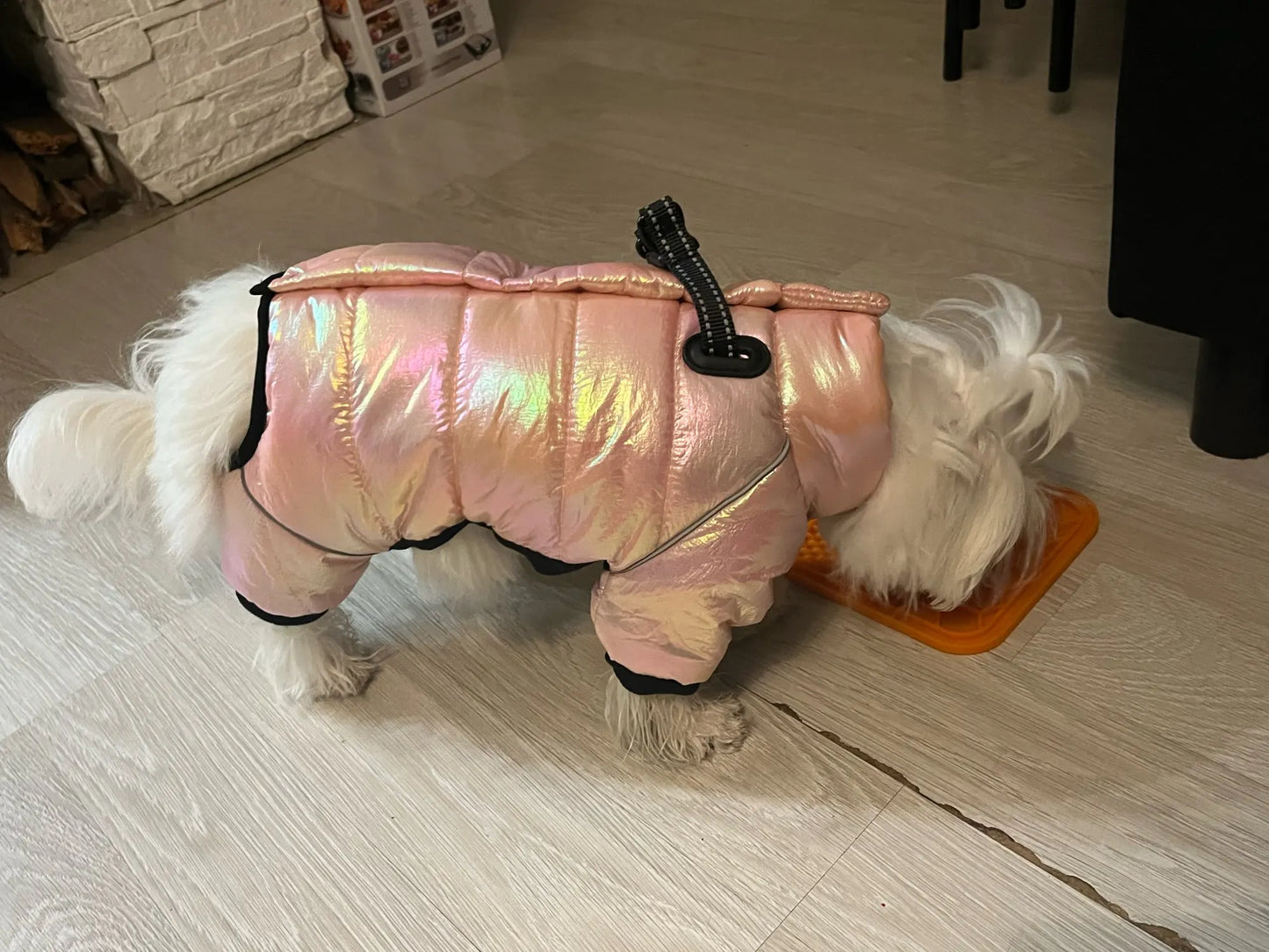 Warm Winter Jumpsuit Waterproof and Reflective for small dogs