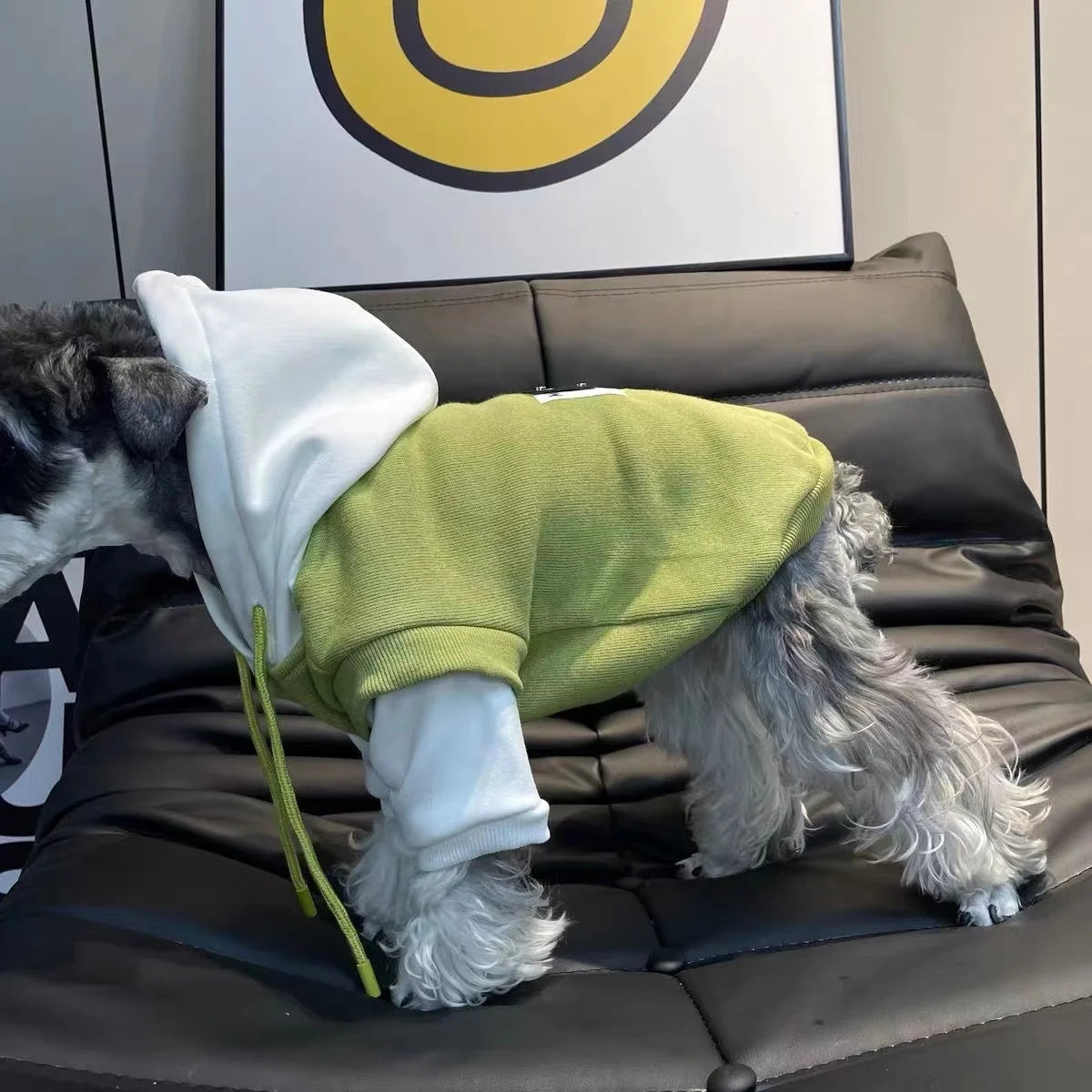 Dog Drawstring Hooded Sweatshirt | Holiday Gear Collection | Warm Winter Hoodie