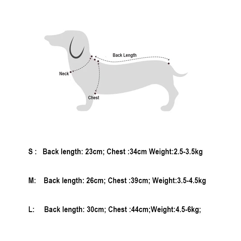 Dog Princess Lace Dress | Holiday Gear Collection | Girl Dog Summer Skirt