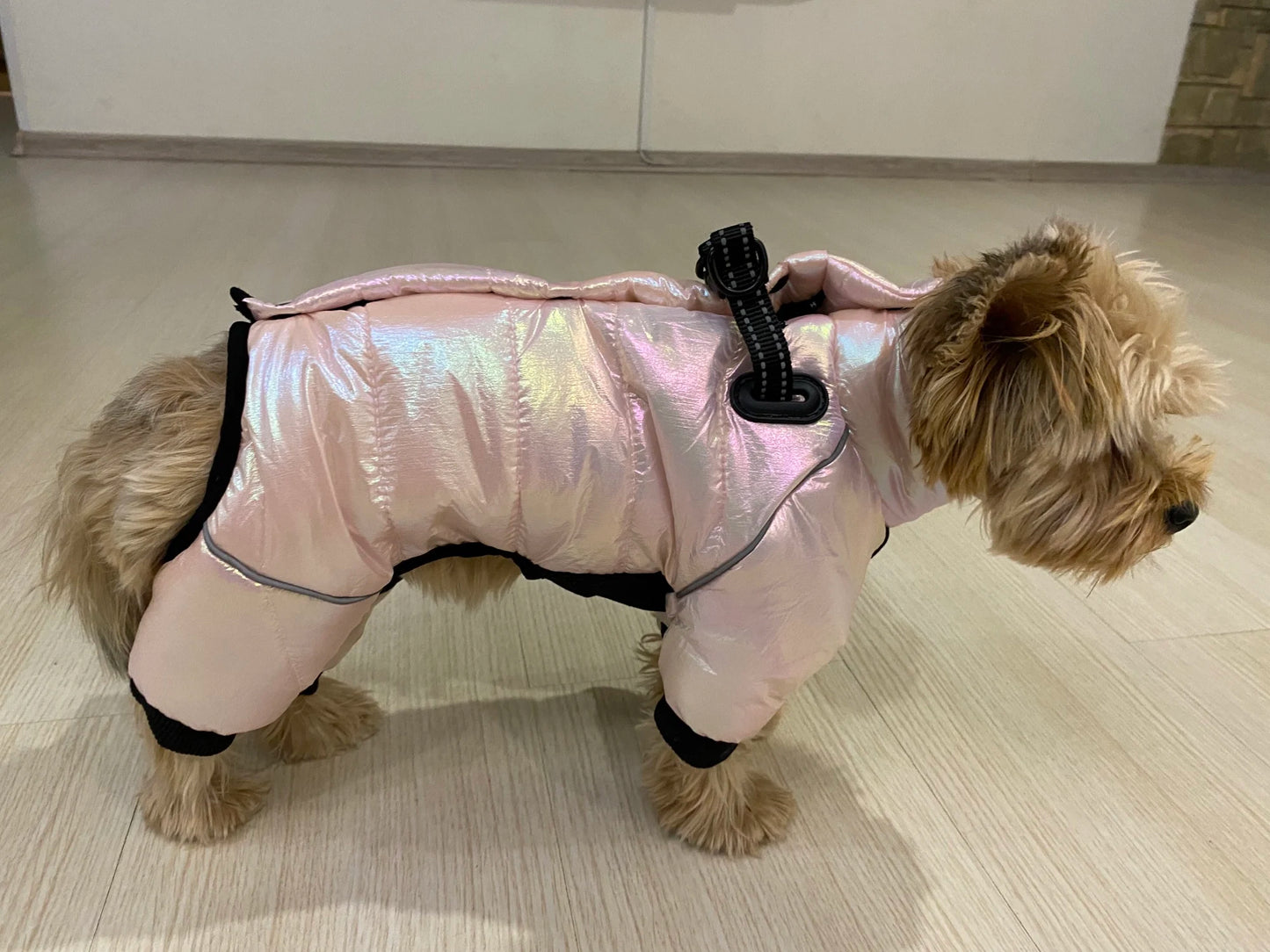 Warm Winter Jumpsuit Waterproof and Reflective for small dogs