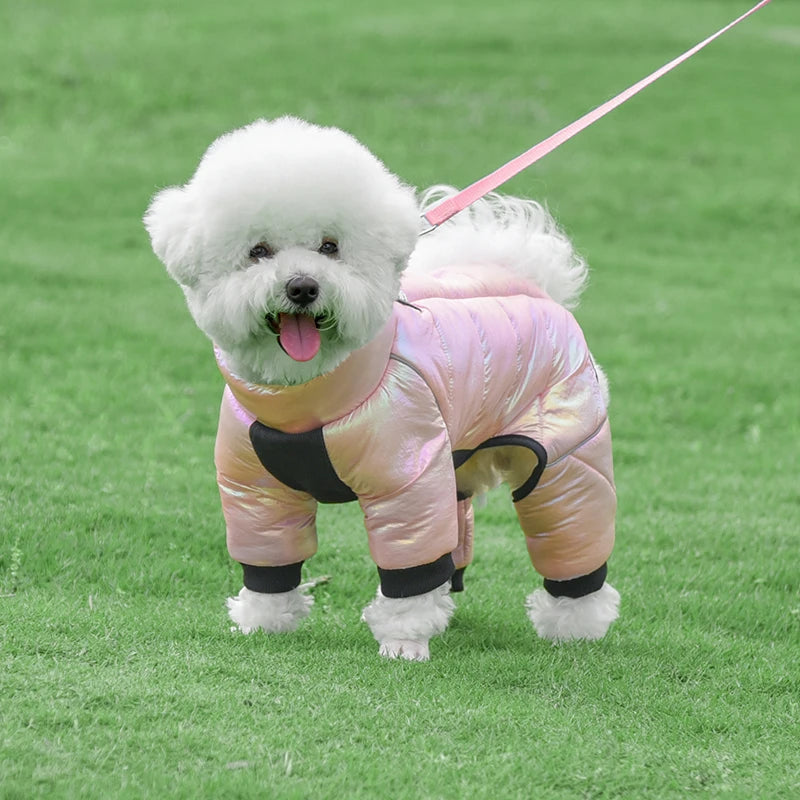 Warm Winter Jumpsuit Waterproof and Reflective for small dogs