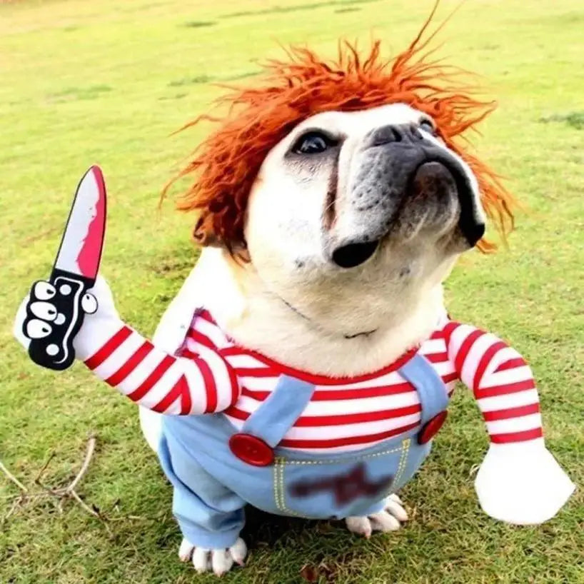 Dog Funny Halloween Costume | Holiday Gear Collection | Comical Knife-Holding Outfit
